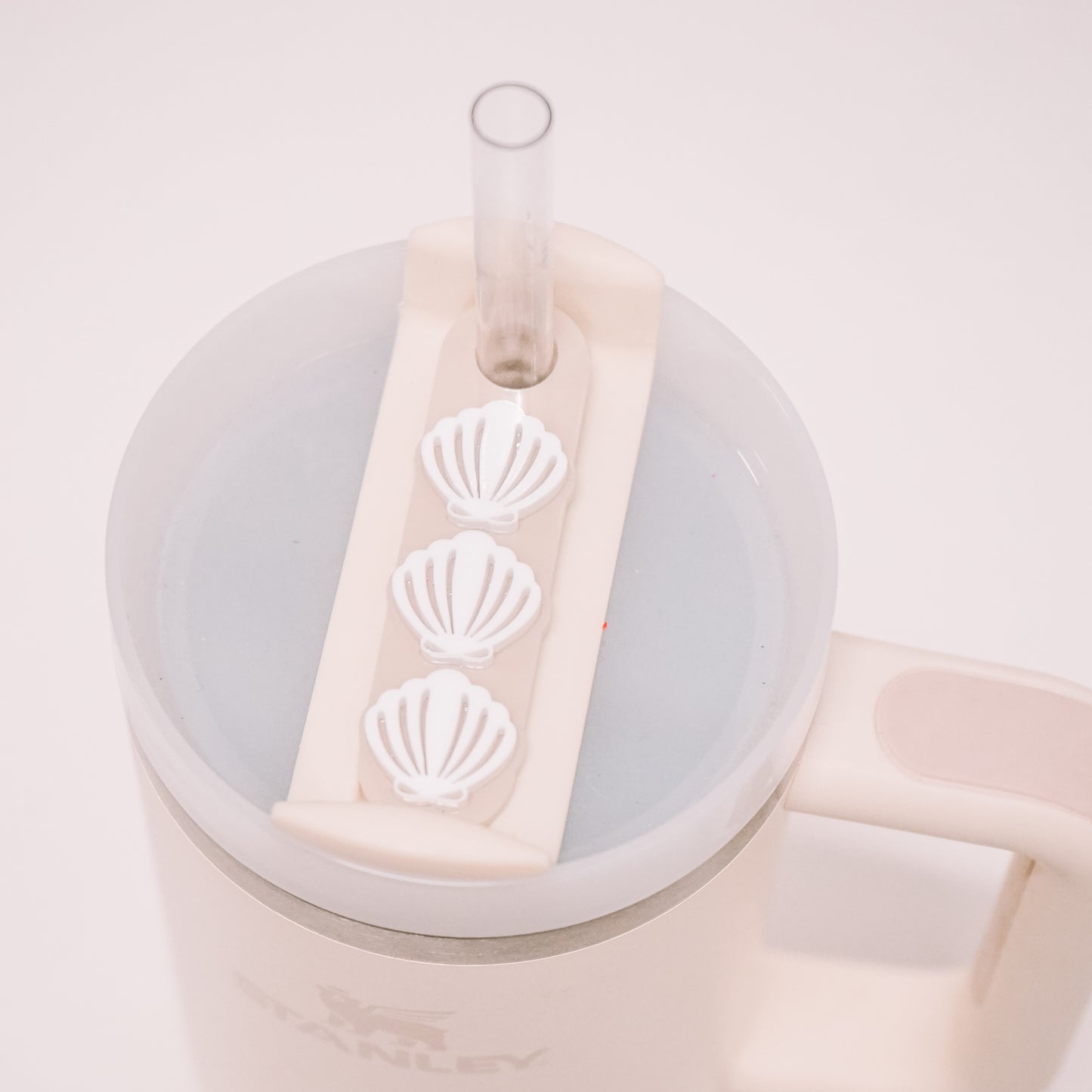Seashell Lid Plate