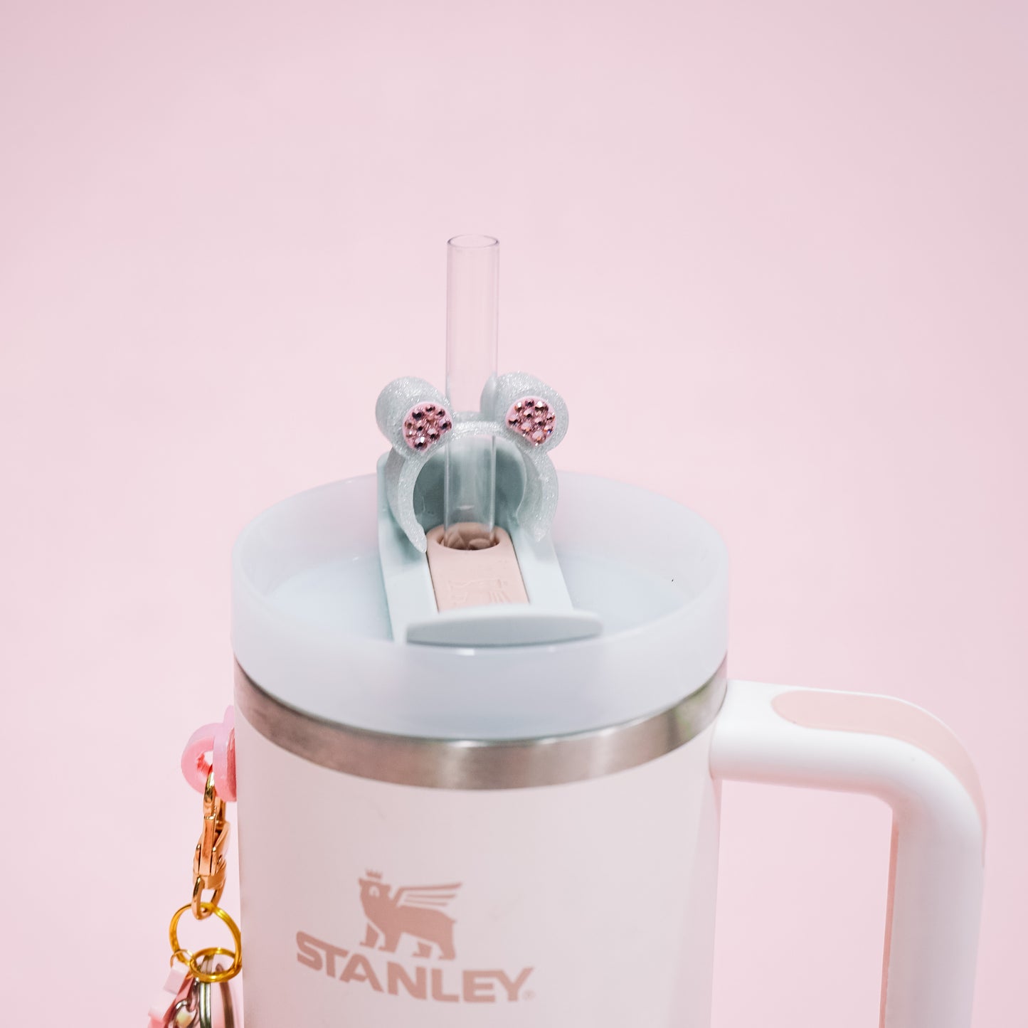 Plastics Straw Charm