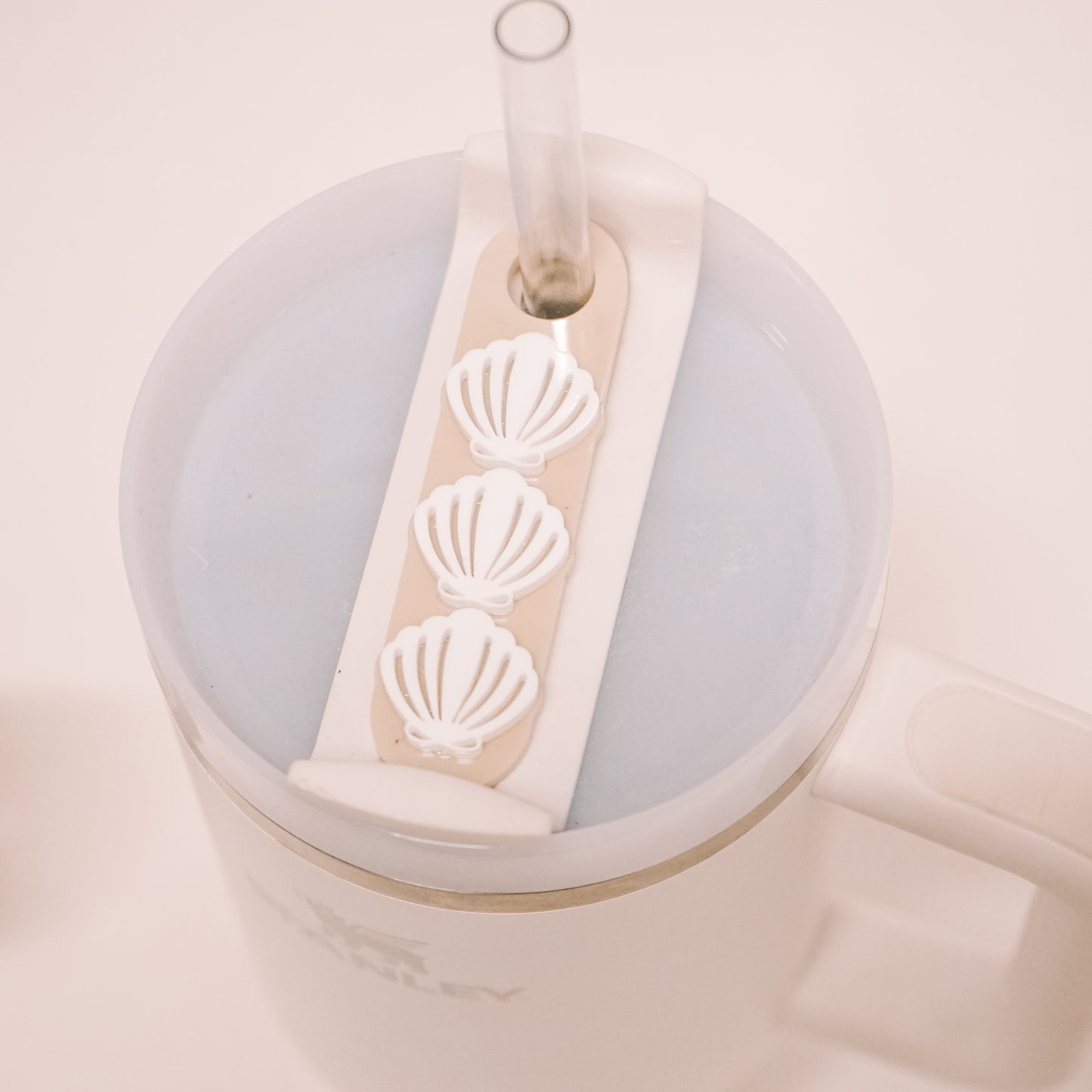 Seashell Lid Plate
