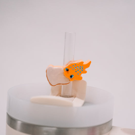 Weather Fish Straw Charm