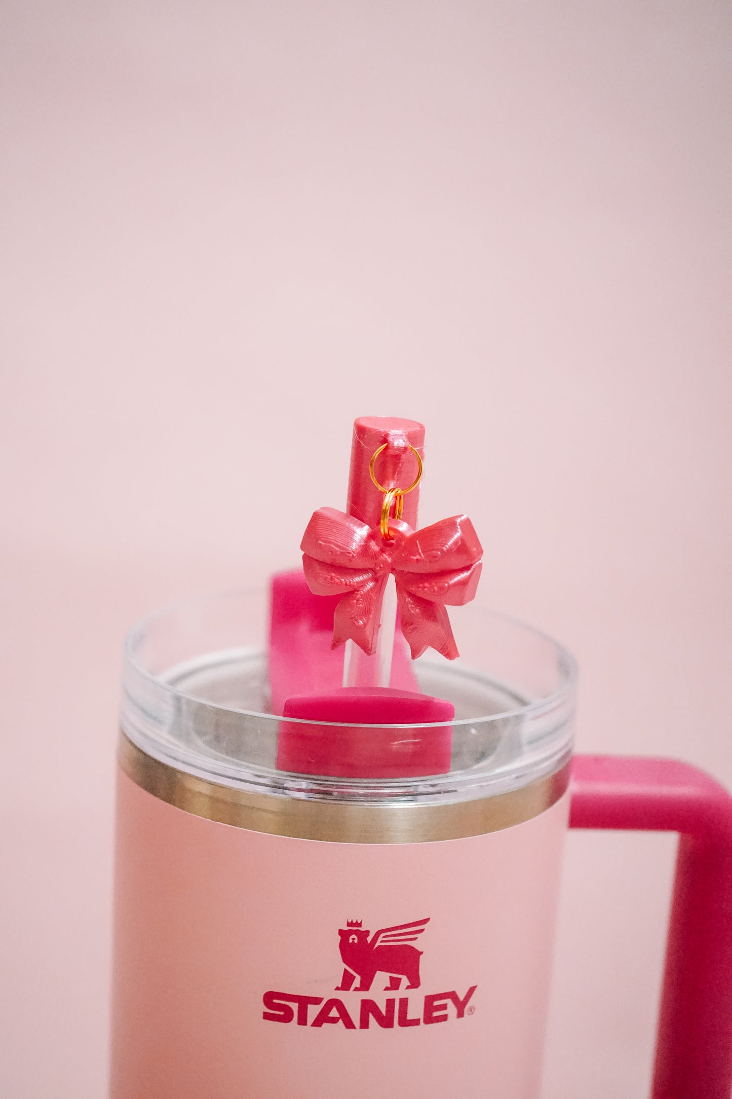 3D Bow Charmed Straw Cover