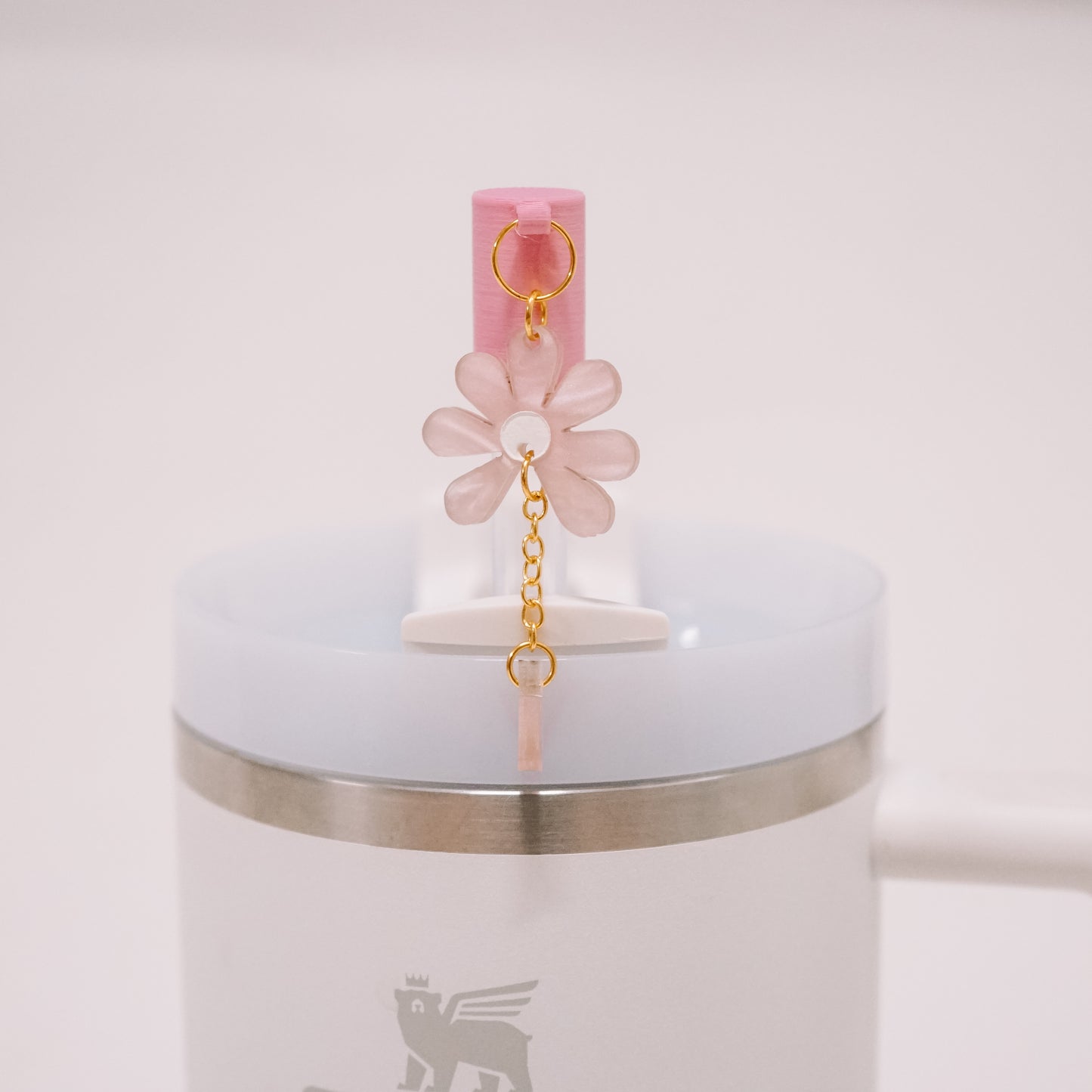 Daisy Charmed Straw Cover