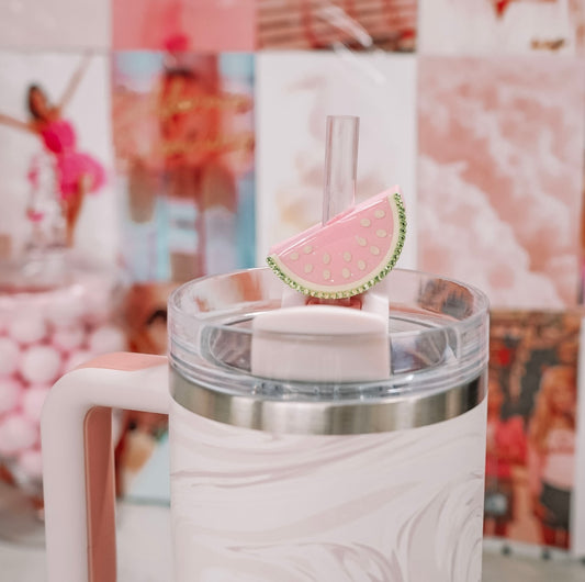 Watermelon Straw Charm