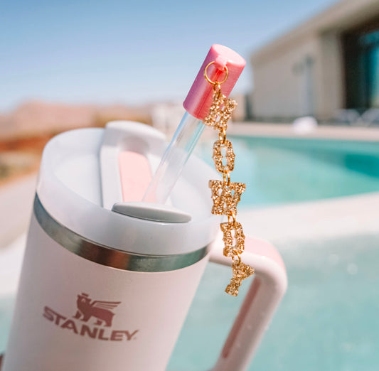 Howdy Charmed Straw Cover